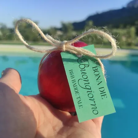 Badde Tale Casa de hóspedes