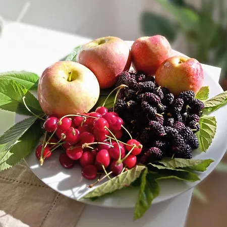 Casa de hóspedes Badde Tale