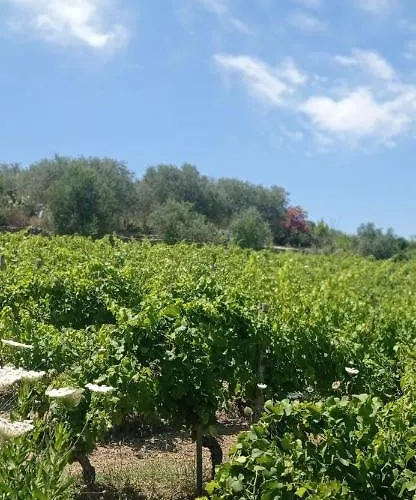 Badde Tale ゲストハウス Ossi