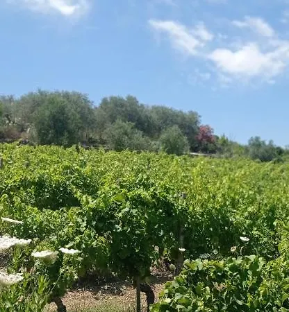 Badde Tale Pensionat Ossi