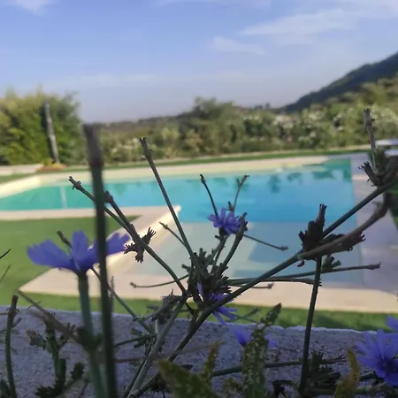 Badde Tale Guest house *